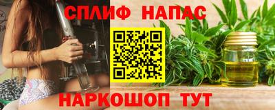 тгк Канаш