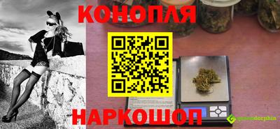 стафф Камышлов