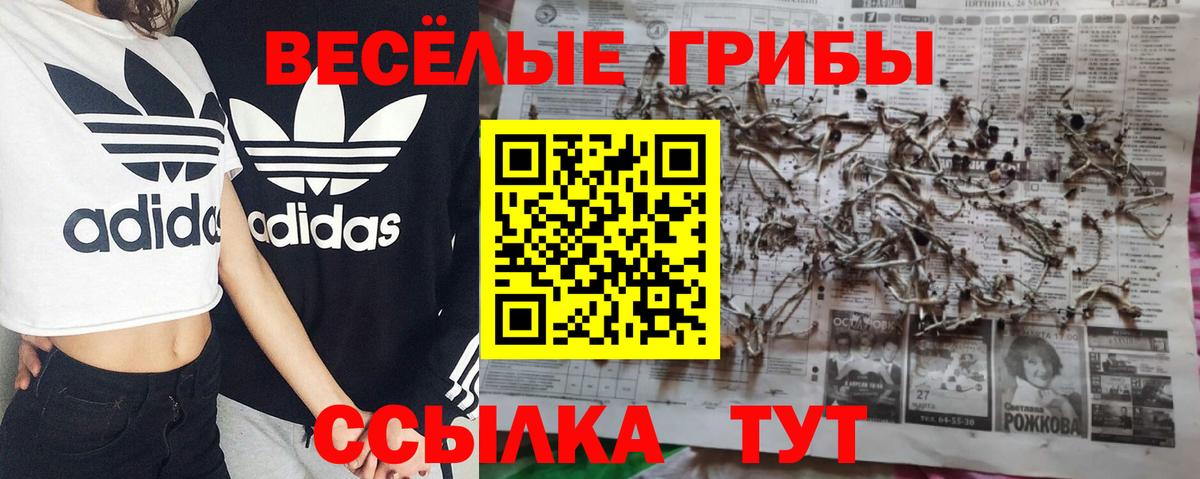 Псилоцибиновые грибы мицелий  Вход с VPN  Костомукша  Галлюциногенные грибы прущие грибы 